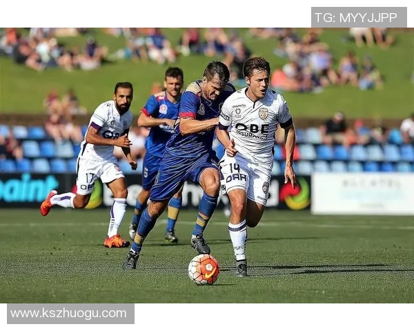 惠灵顿凤凰与墨尔本城对决前瞻分析及比赛看点解析